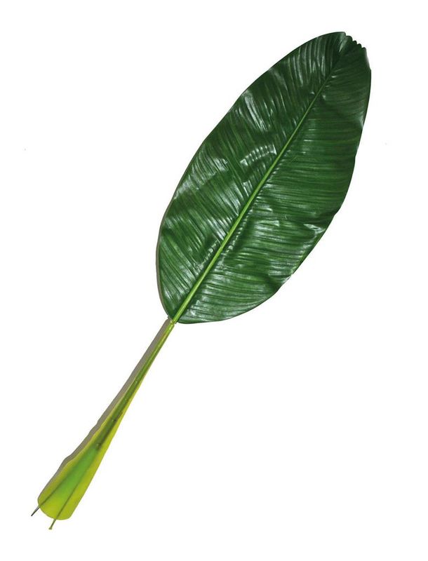 Bananenblatt 90cm