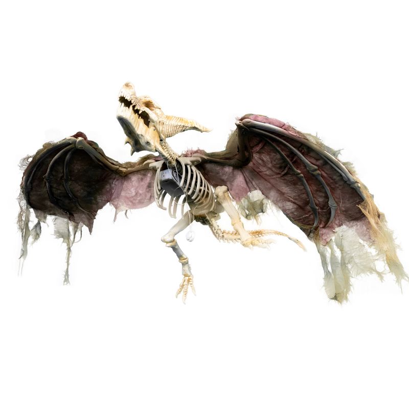 Fliegender Drache Skelett 90cm Animatronic Fliegender Drache Skelett 90cm Animatronic