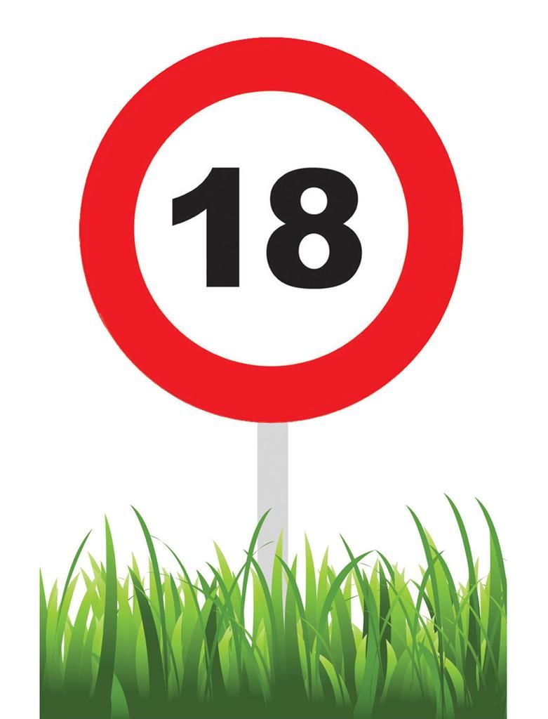 Gartenschild Traffic 18 Jahre