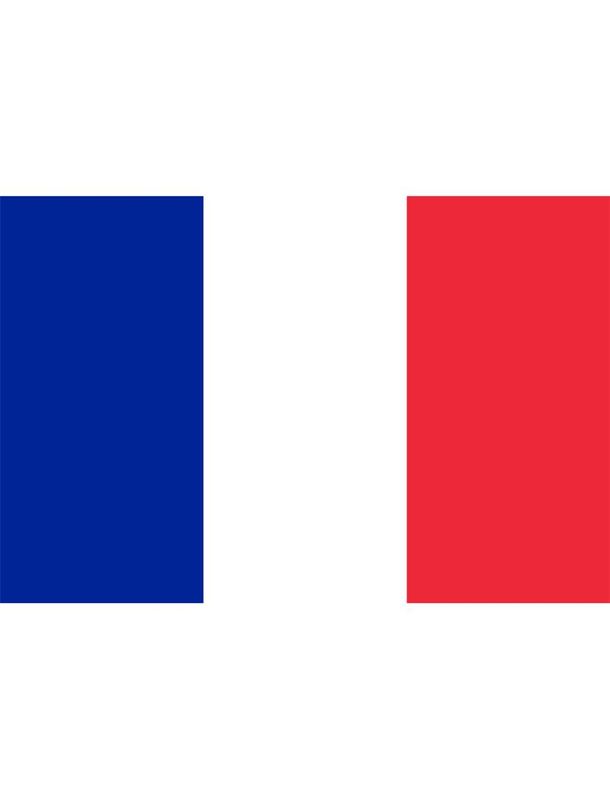 Flagge xl 436 x 350cm Frankreich