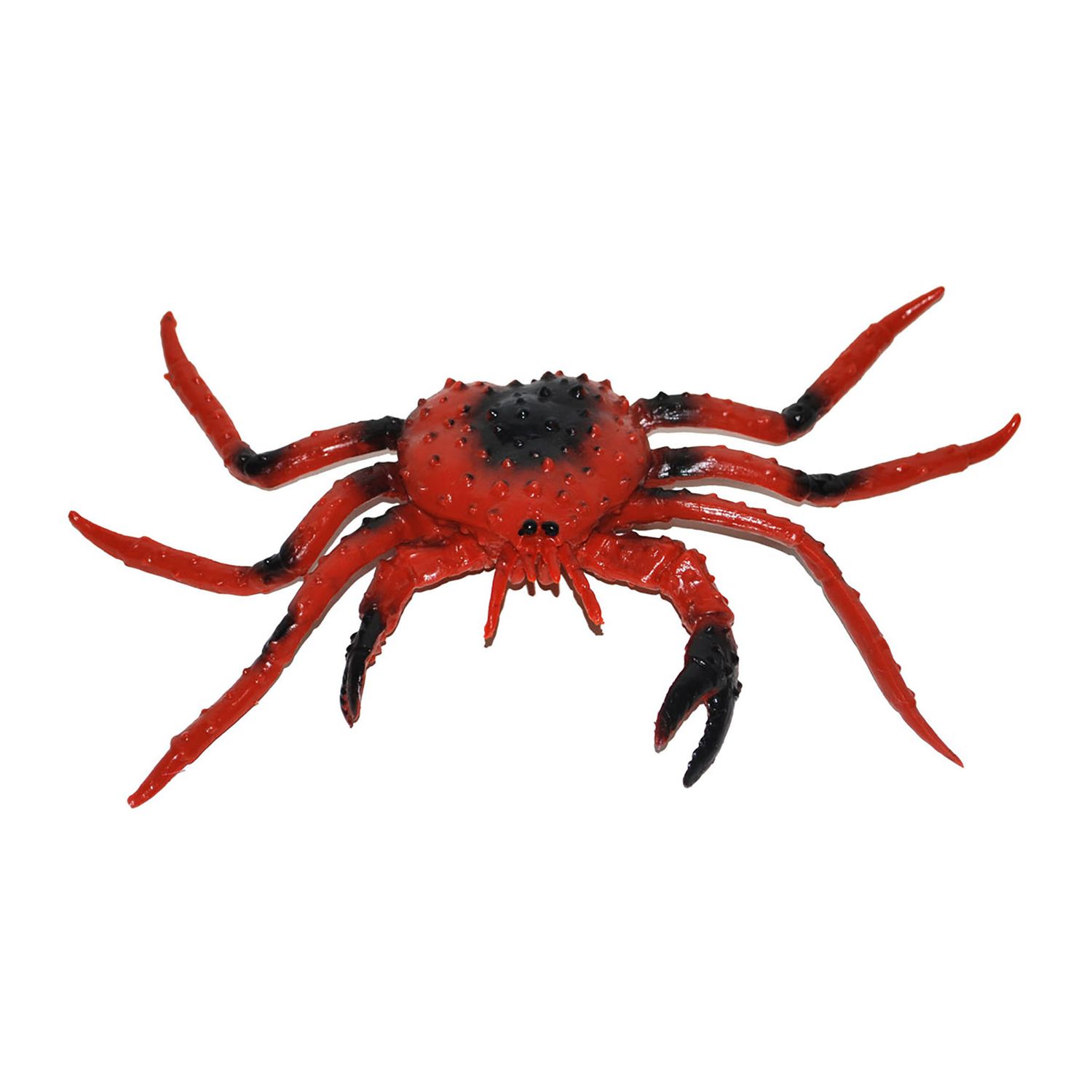 Krabbe 23 x 12cm