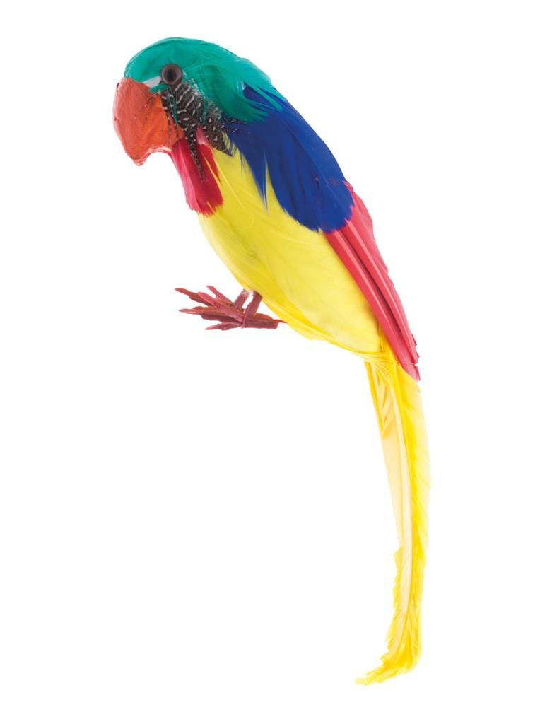 Papagei 30cm