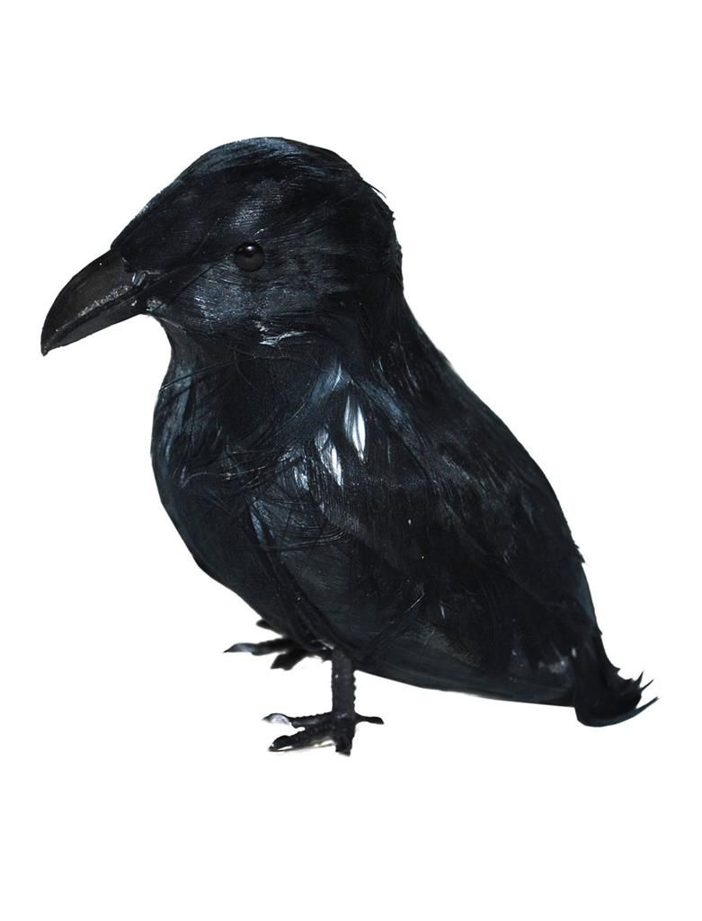 Rabe 9cm schwarz