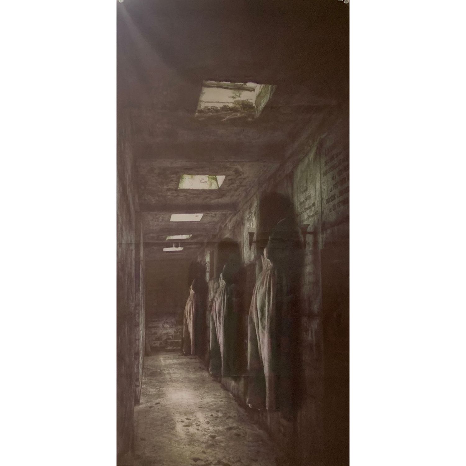 Gruseliger Vorhang 200 x 80cm