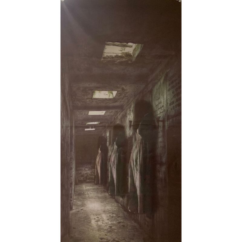 Griezelig gordijn 200 x 80cm