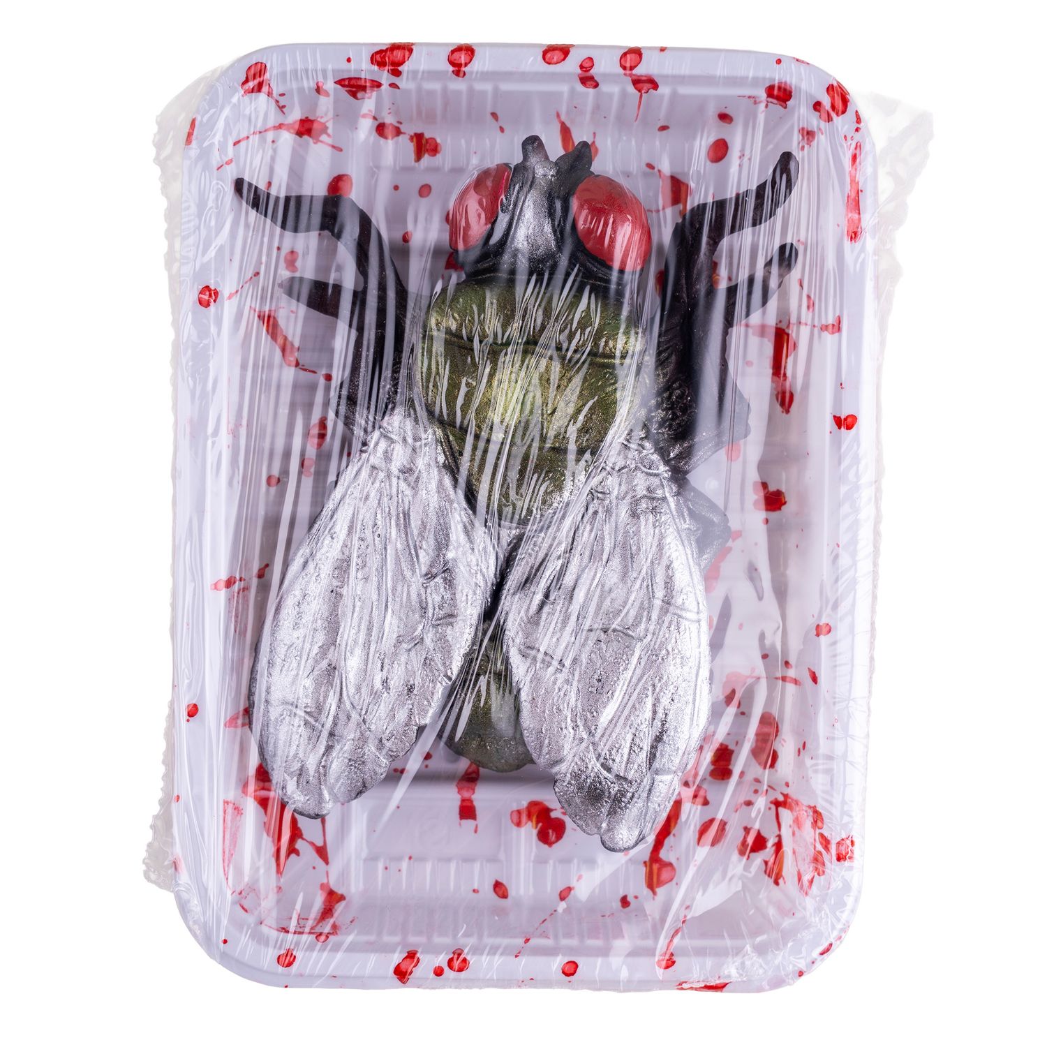 Große Fliege auf Teller Große Fliege auf Teller