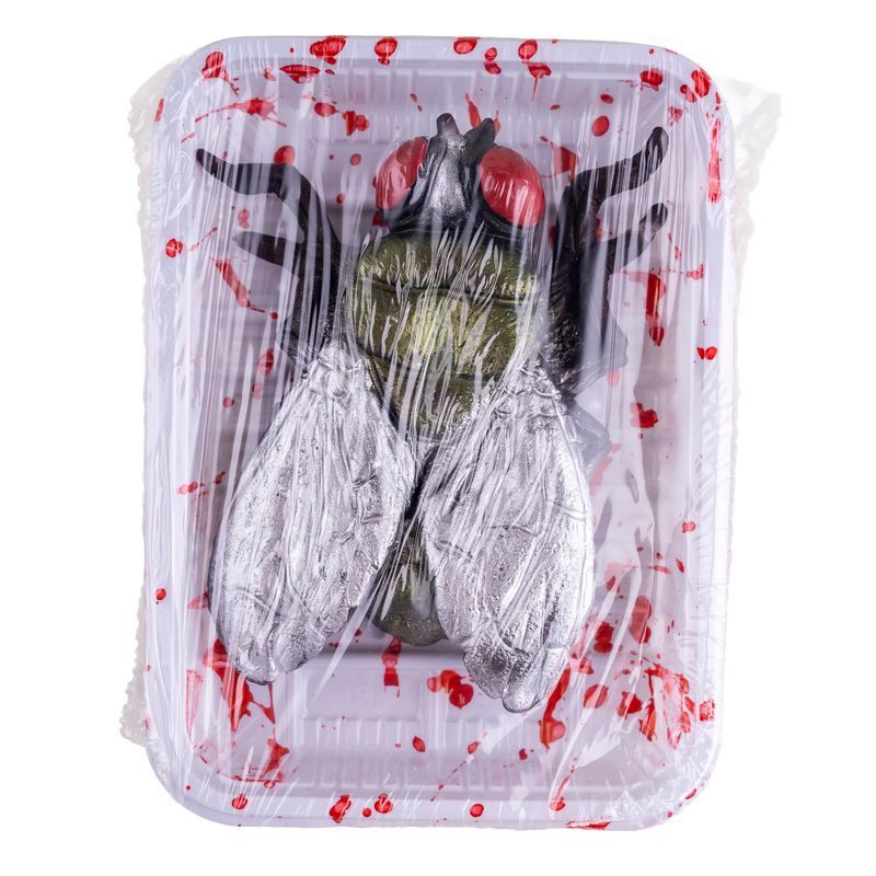 Große Fliege auf Teller