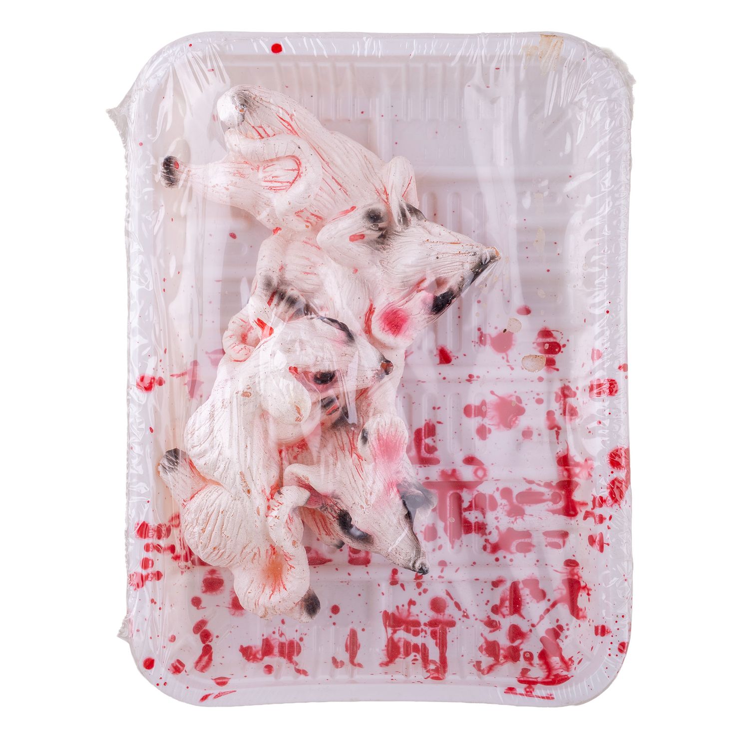 Mäuse auf Teller Mäuse auf Teller