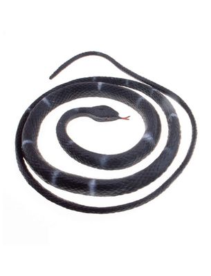 Schlange Schwarz 95cm