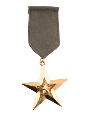 Legermedaille Ster