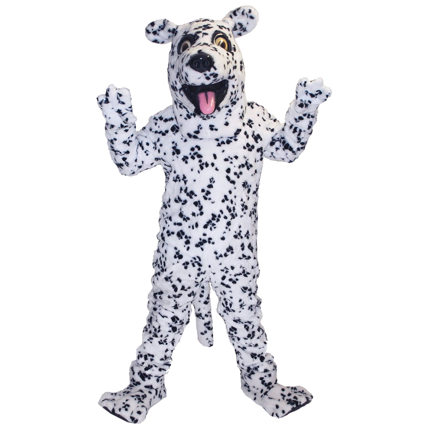 Mascotte Dalmatiër