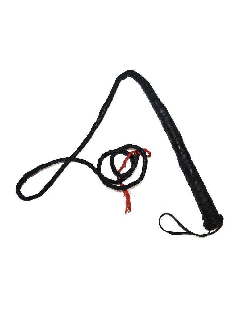 Zweep zwart 120 cm Zweep zwart 120 cm