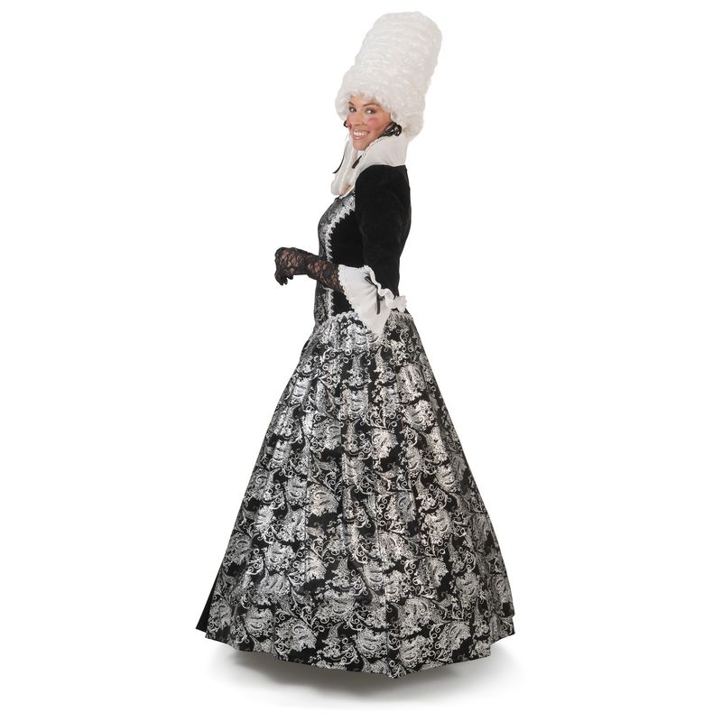 Kleid Silberen Barockdame