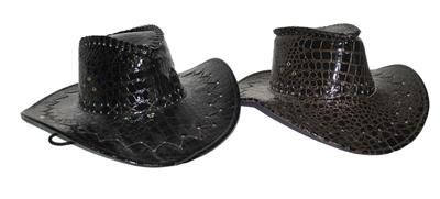 Cowboyhoed Lederlook 2 Kleuren Cowboyhoed Lederlook 2 Kleuren