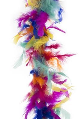 Federboa Bunt 2m 45g