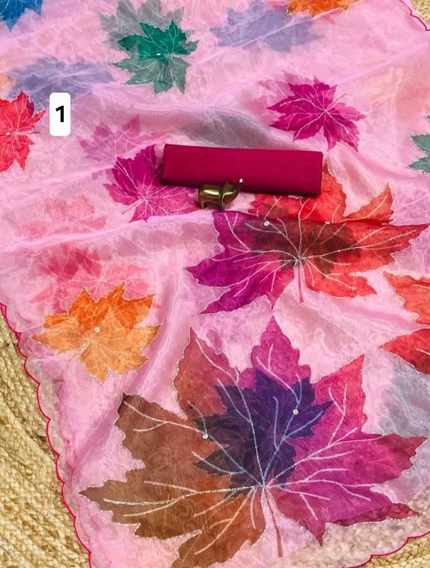 Handwork saree in soft organza