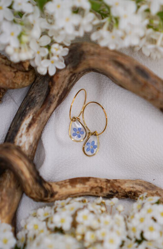 Creolen Vergissmeinnicht - Tropf