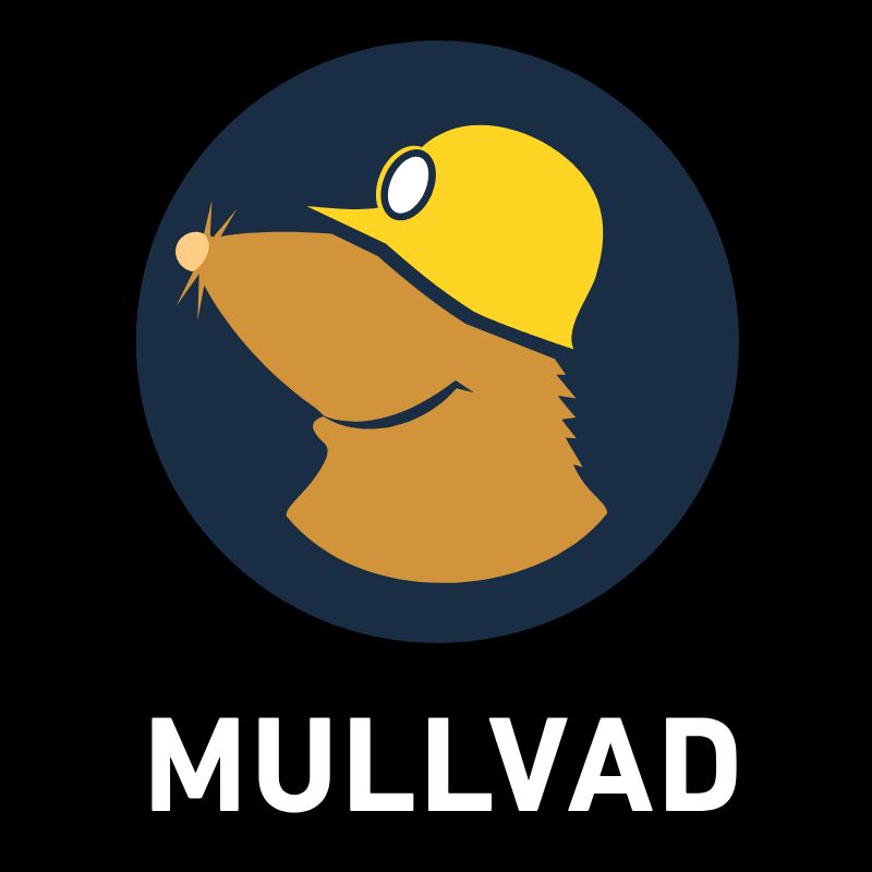 MULLVARD VPN (1YR)