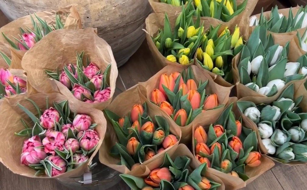 Fresh Tulip Bouquet