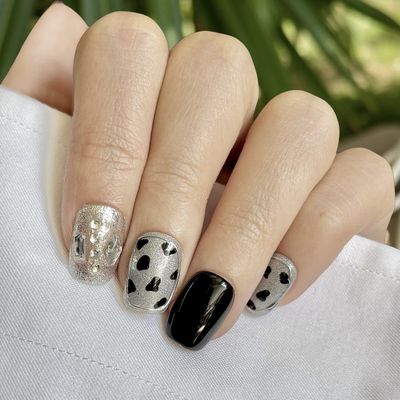 Star Studded