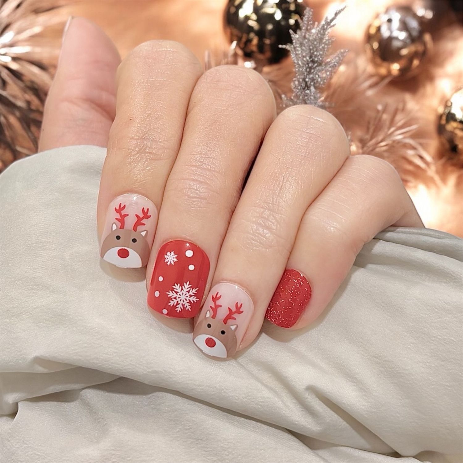 Rudolph’s Cozy Night