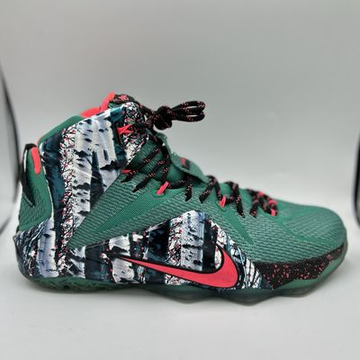 NIKE LEBRON 12 “AKRON BIRCH” SZ 10