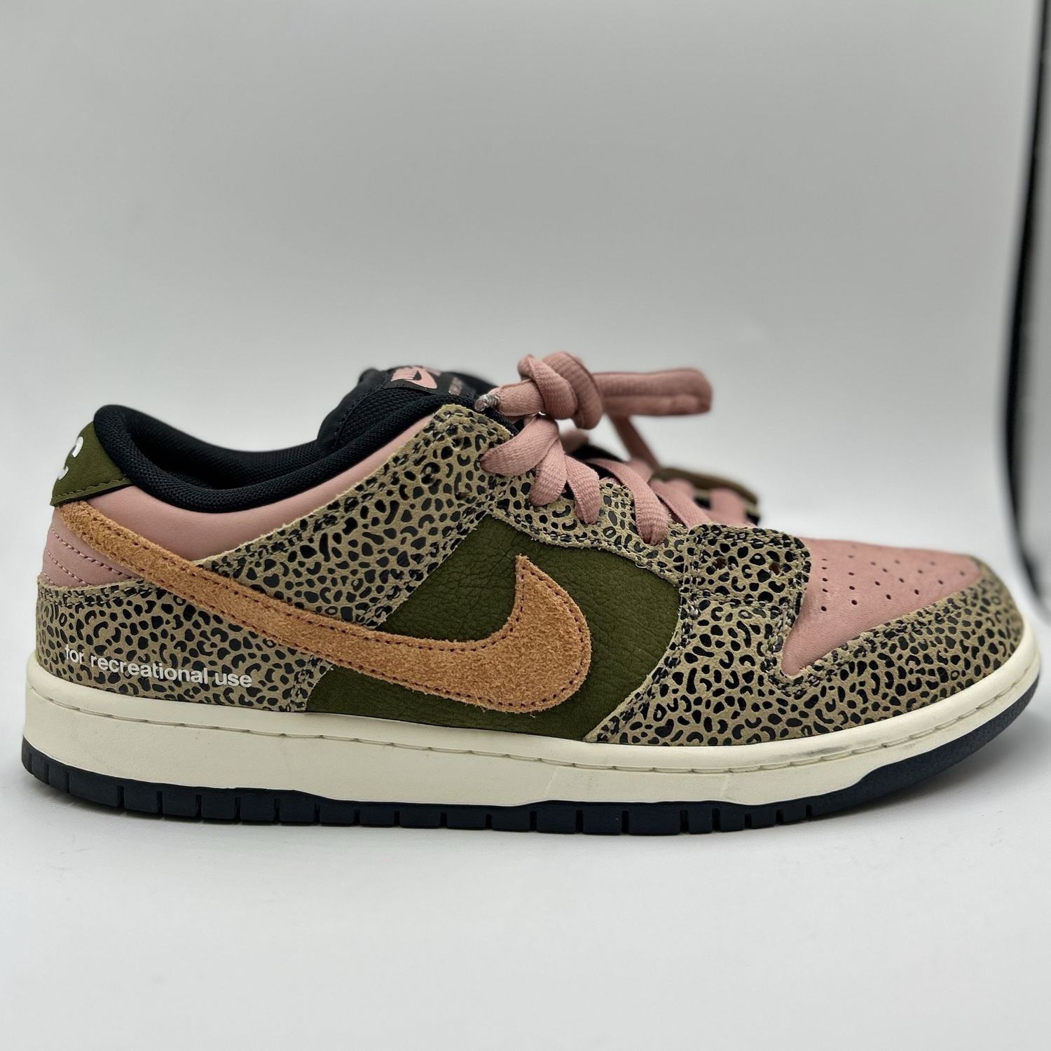 NIKE DUNK LOW SB X ARTS-REC "FOR RECREATIONAL USE"SZ 9