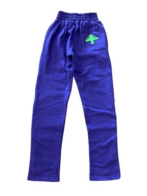 VERTABRAE SWEATPANTS “PURPLE/GREEN”