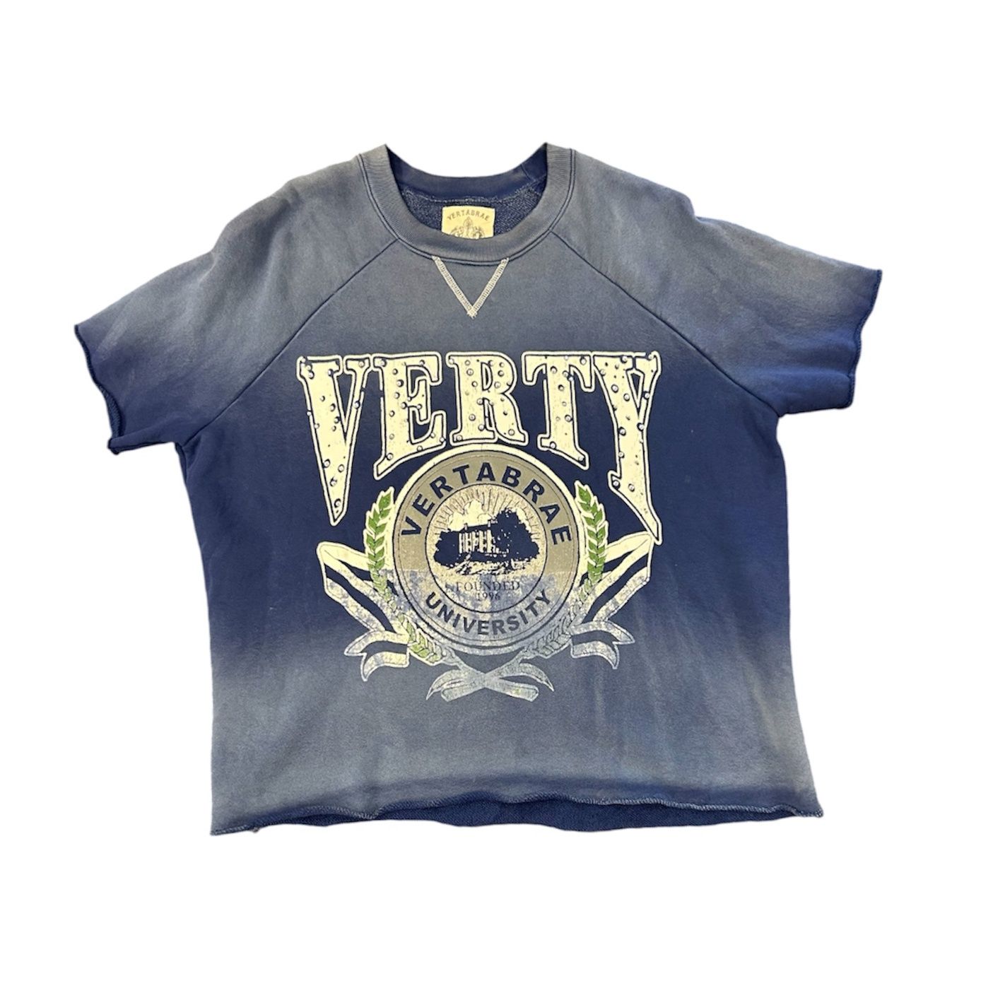 VERTABRAE VERTY UNIVERSITY CREW NECK