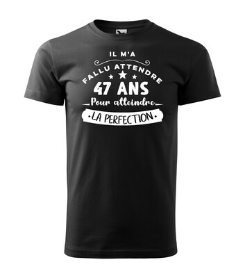 Tee shirt homme age perfection