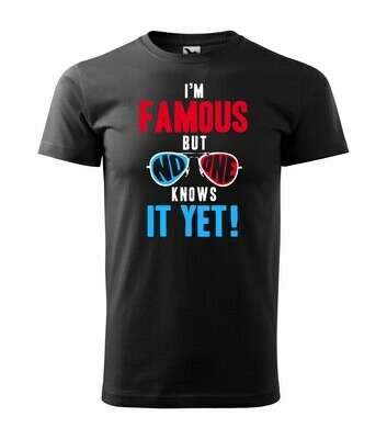 Tee shirt homme I'm famous