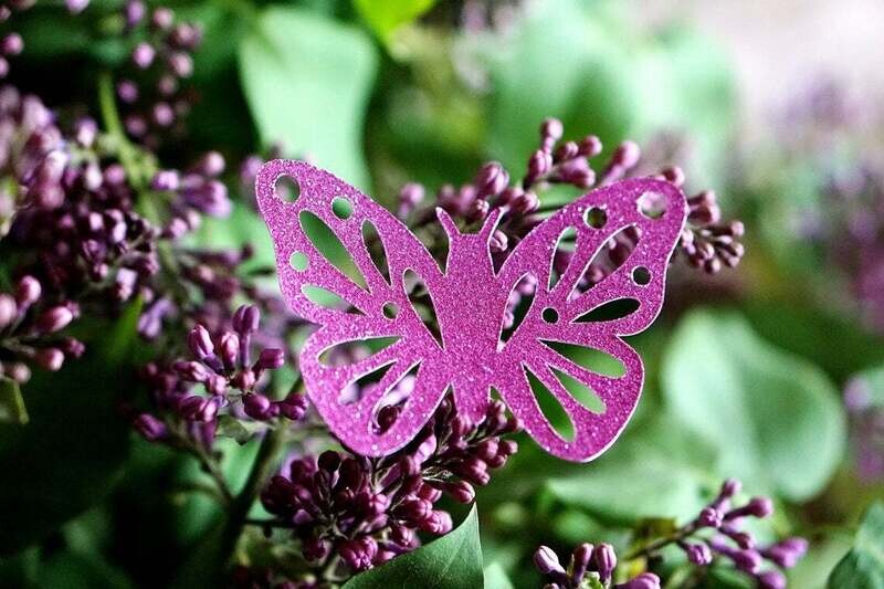 50 Figuras Decoración - Mariposa 02 -  6x4cm