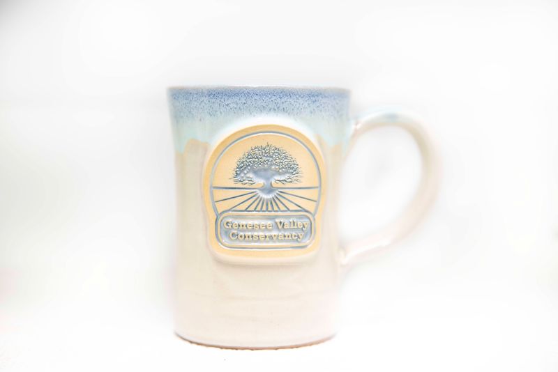 Mug - Butter w/ Aqua