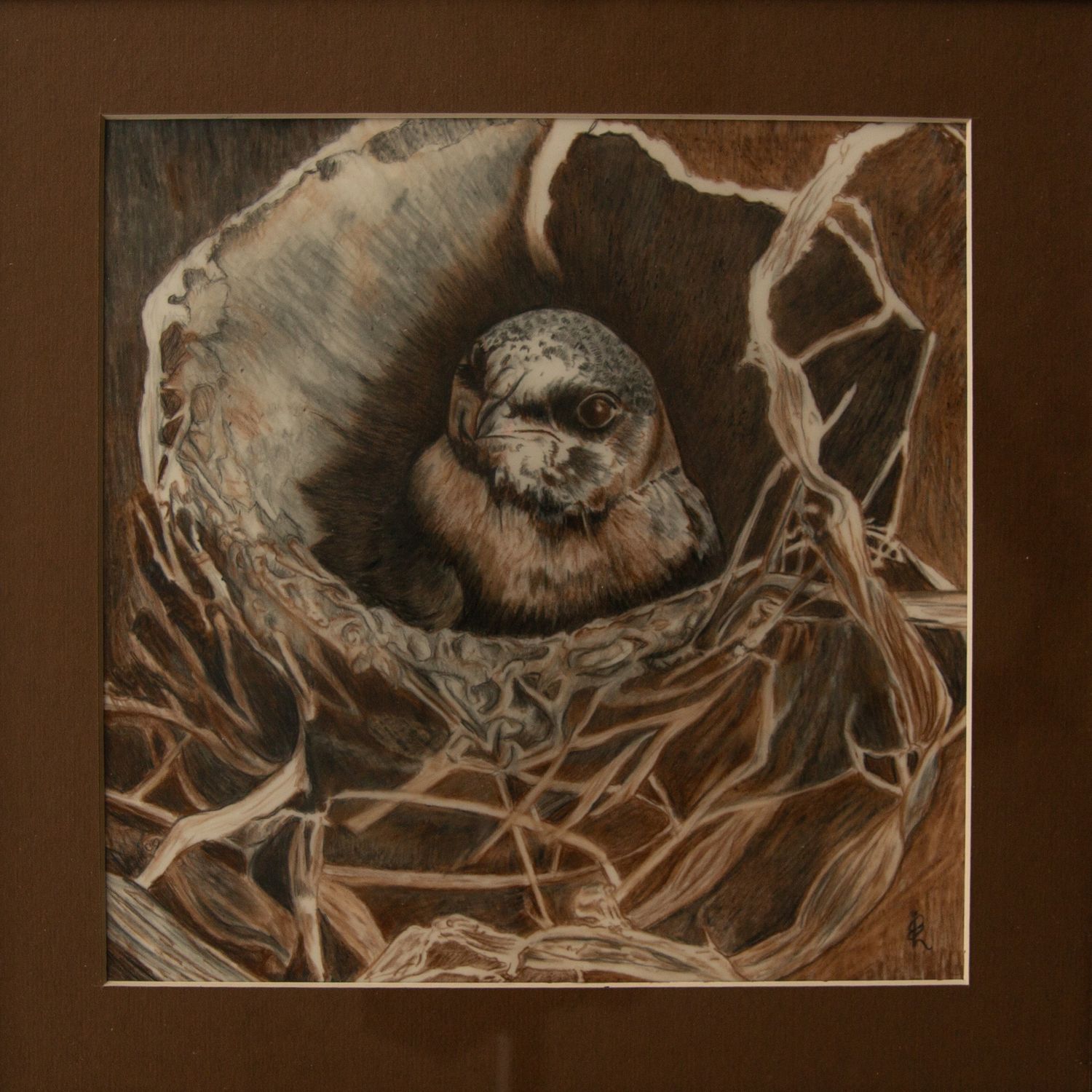 Visit from a Young Barn Swallow