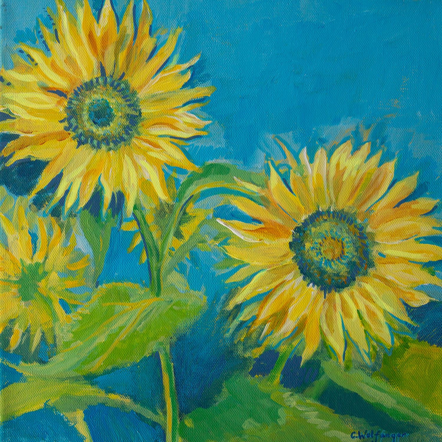 Sunflower Study