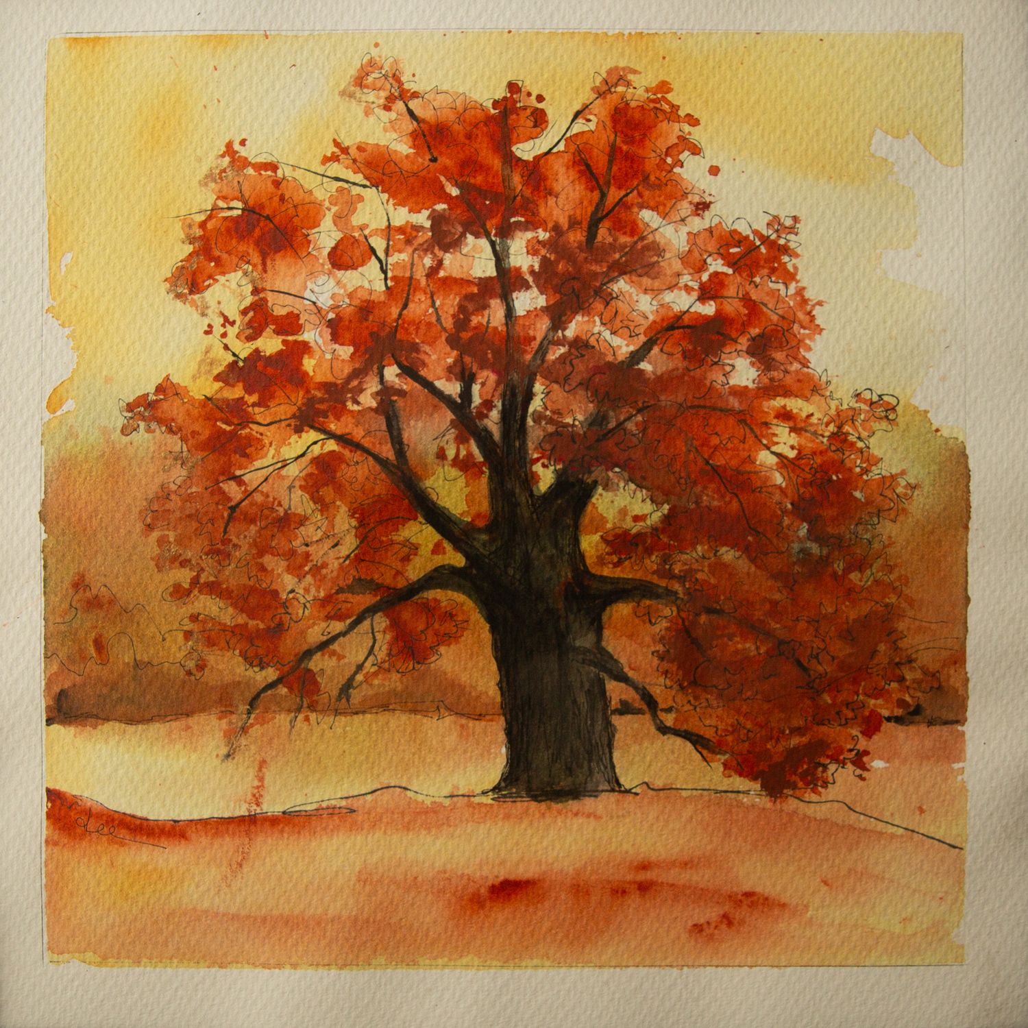 Nations Road Autumn Ride