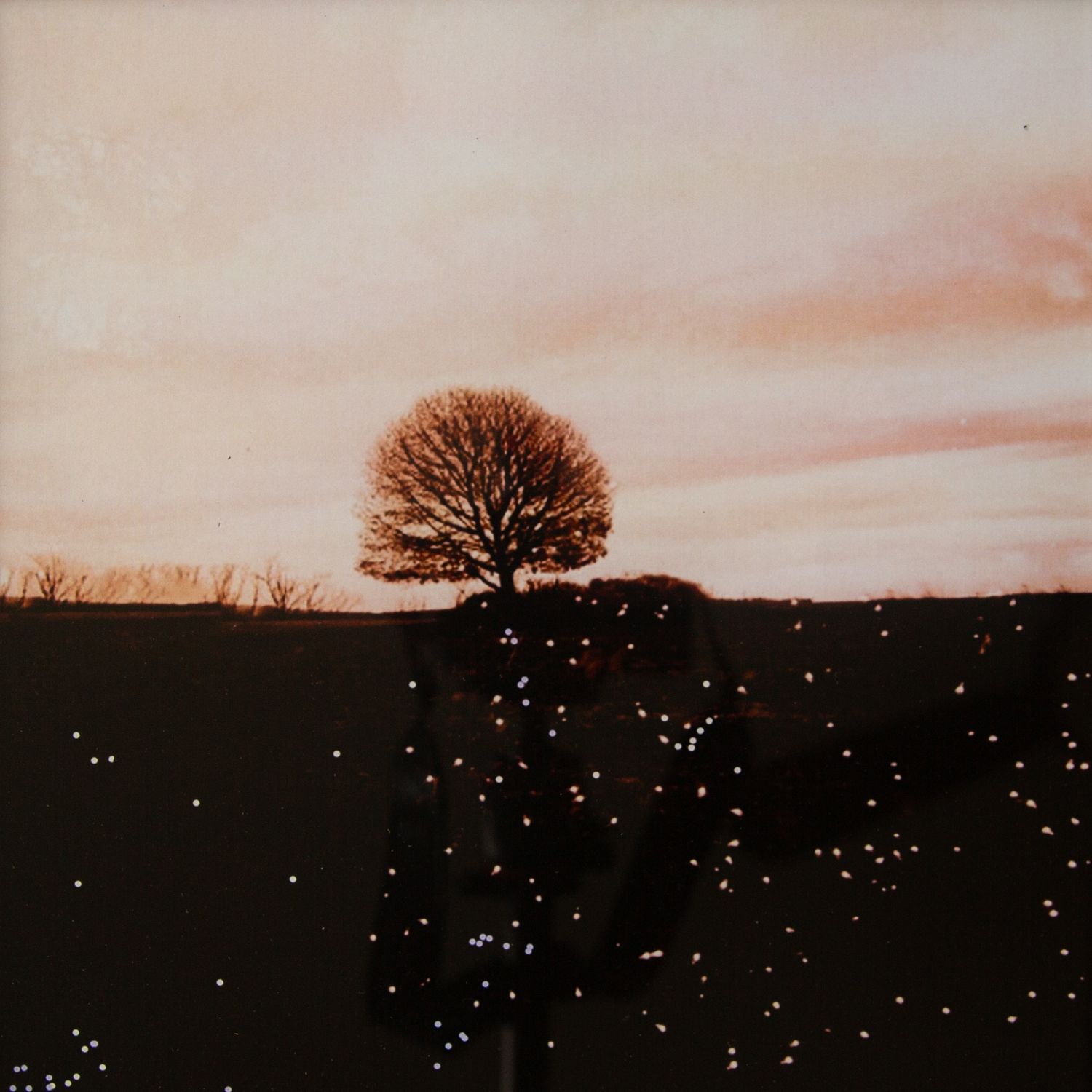 The Magic on Resevoir Road