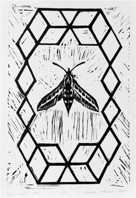 Sphinx Moth linocut print