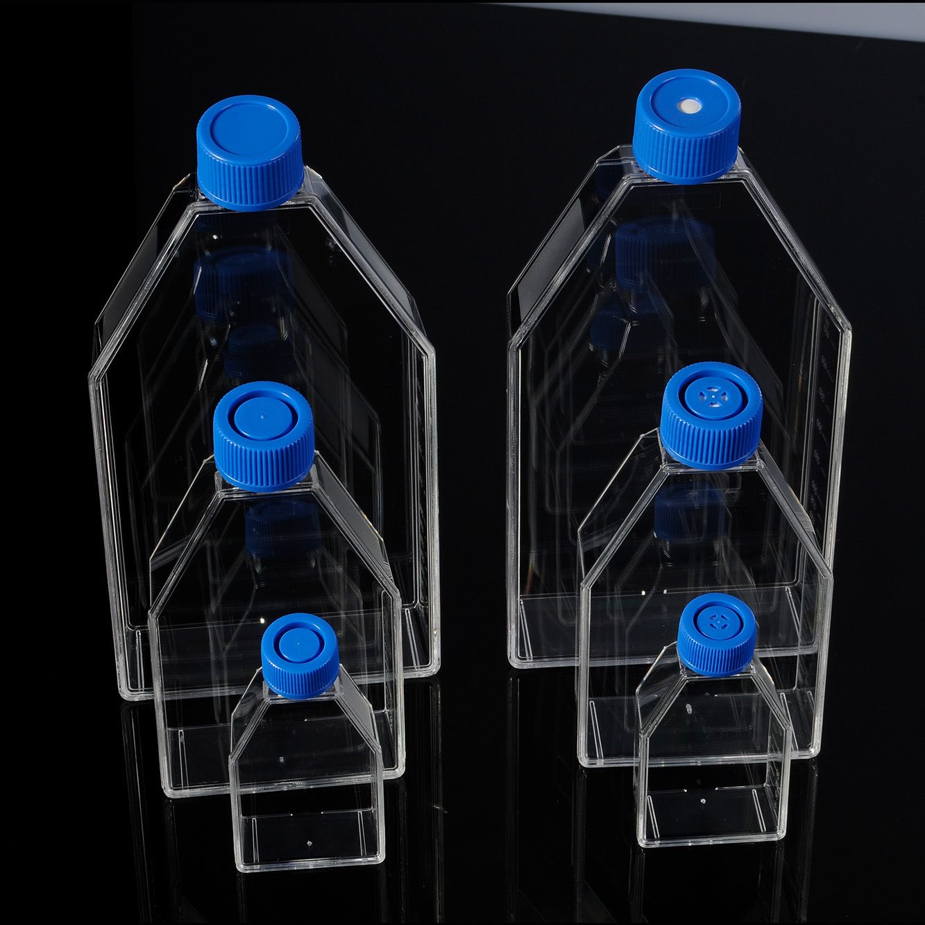 Biologix® Cell Culture Flasks-175cm², 5 Pcs/Pack, 8 Packs/Case, Cap Type: Filter