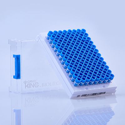 SBS Standards