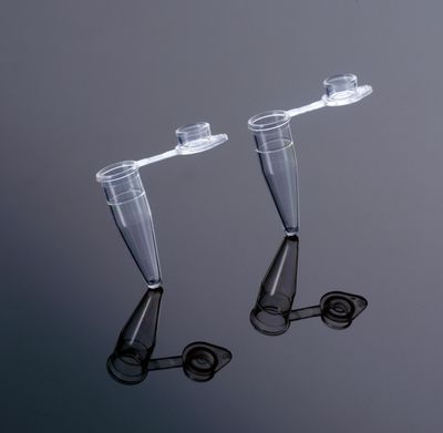 PCR Single Tubes