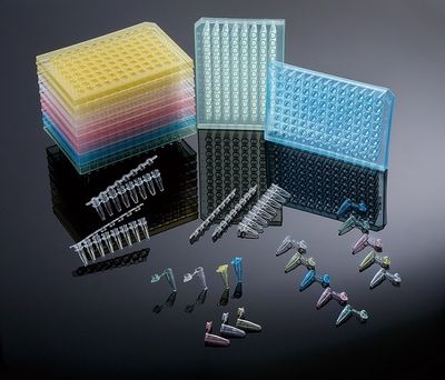 PCR Products