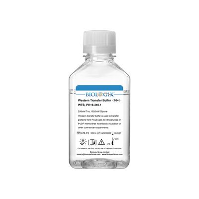 Biologix® Western Transfer Buffer ( 10X ), PH8.3, 500mL/ Bottle, 10 Bottles/Case