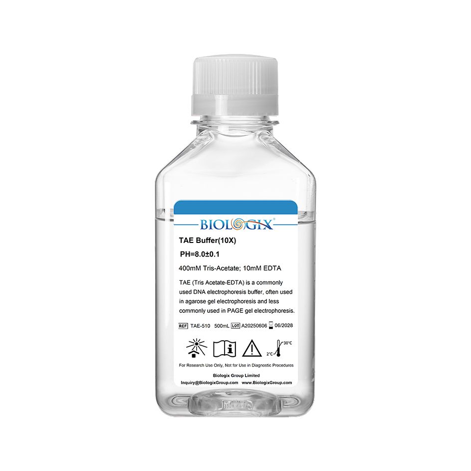 Biologix TAE ( Tris Acetate-EDTA ) Buffer ( 10x ), pH8.0, 500mL/Bottle