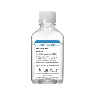 Biologix TAE ( Tris Acetate-EDTA ) Buffer ( 10x ), pH8.0, 500mL/Bottle