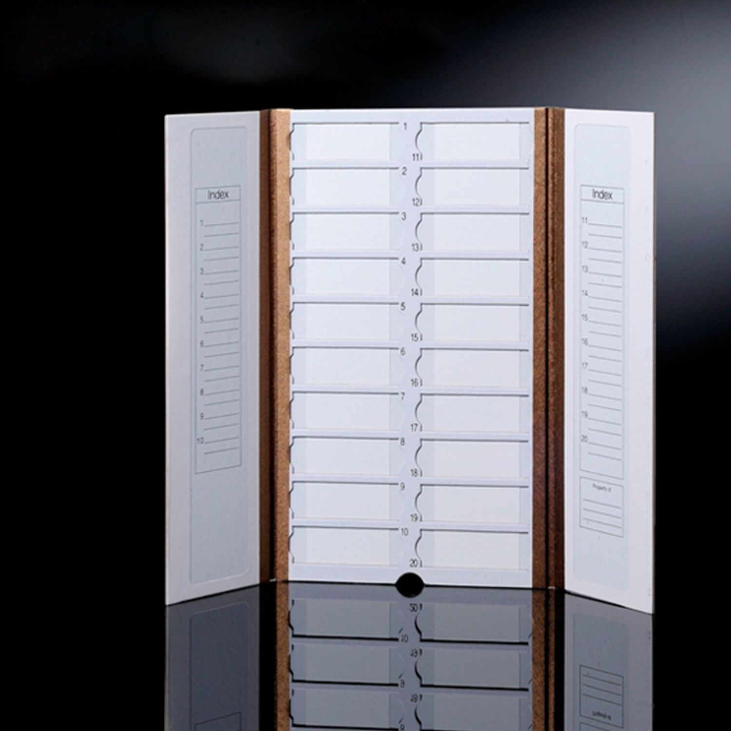 Biologix® Histology Mailer Box, 10 Mailers/Pack, 4 Packs/Case