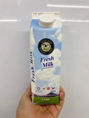Fresh Milk