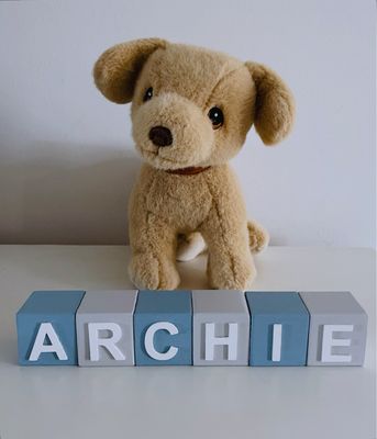Personalised Wooden Blocks