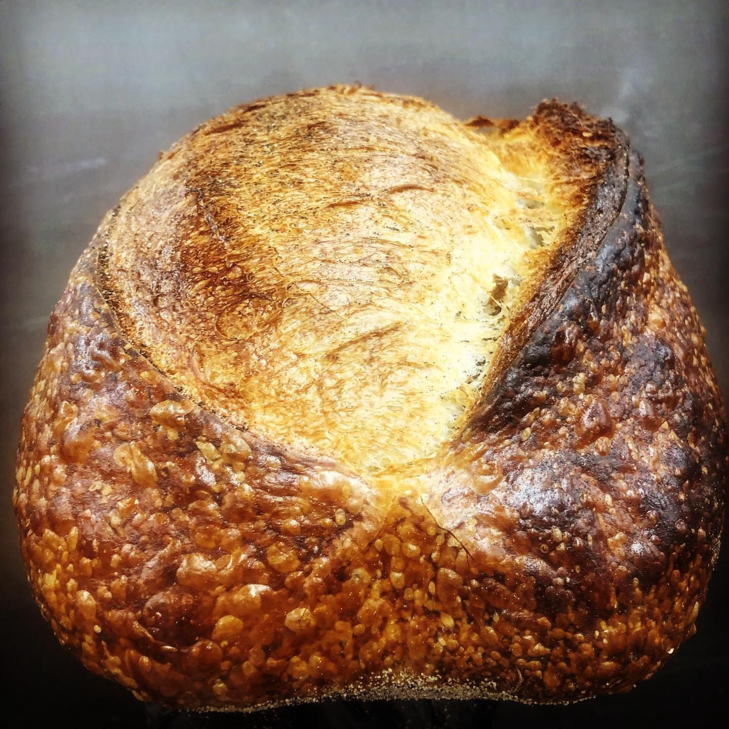 San Francisco Sourdough