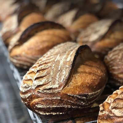 Bread